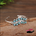 Turquoise and Tumbleweed